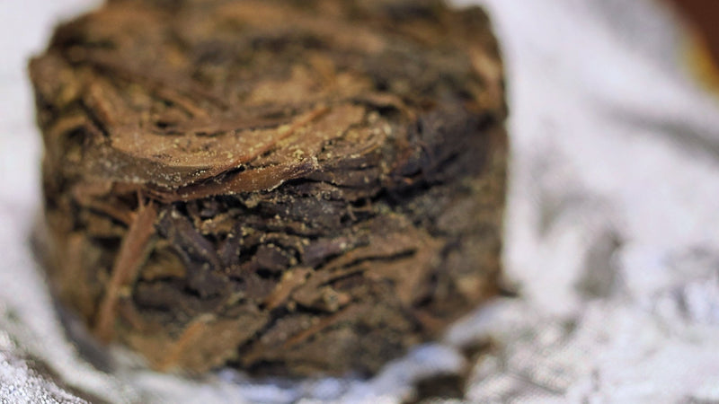 The Golden Secret of Dark Tea: Exploring Jin Hua in Fu Brick Tea - Cha Zhi Ji