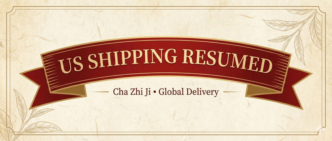 Update: Shipping to the United States Resumed (Duties & Taxes Policy)