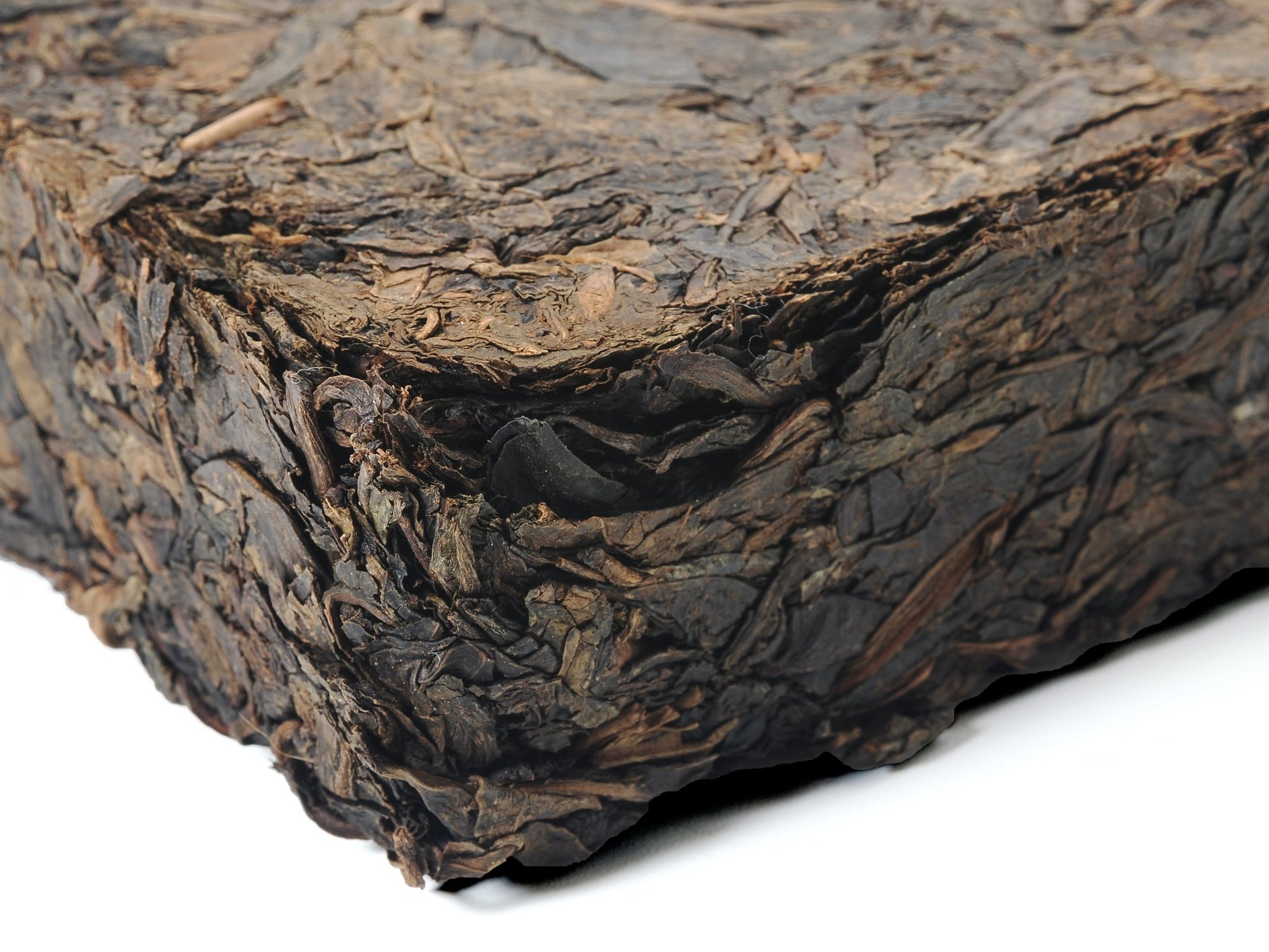 Fu Brick Tea with Golden Flowers (金花茯茶) – Cha Zhi Ji × Hui He Tang - Cha Zhi Ji